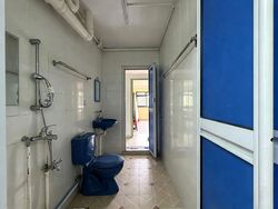 Blk 290B Spring View (Bukit Batok), HDB Executive #633387581